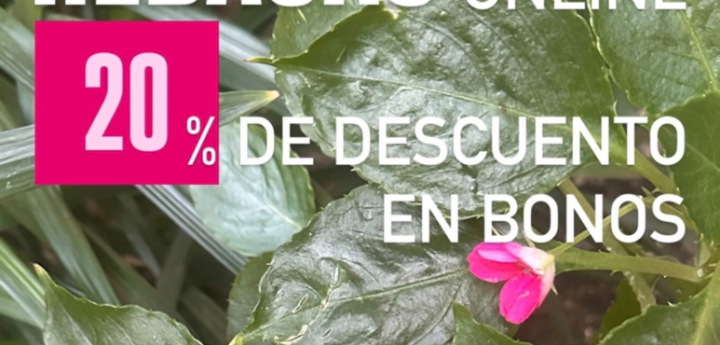 Rebajas de verano online